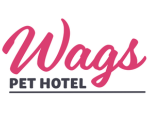 Wags Pet Hotel Levin NZ